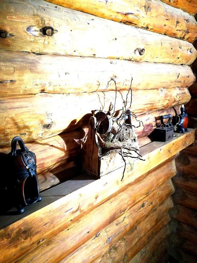 Cabana Rustic Balea Cîrţişoara Exterior foto