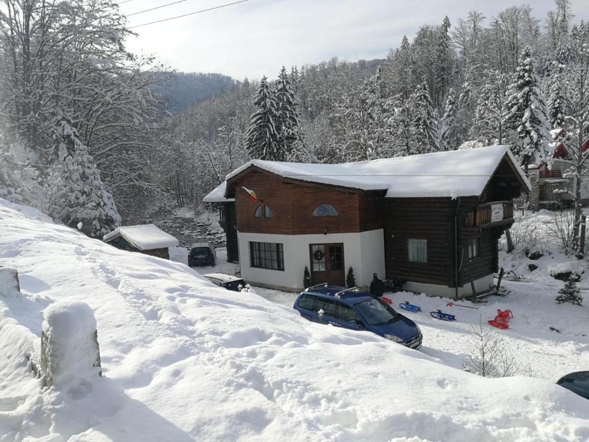 Cabana Rustic Balea Cîrţişoara Exterior foto