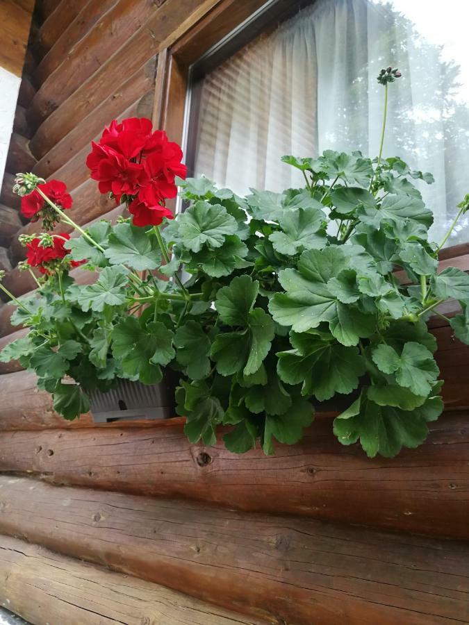 Cabana Rustic Balea Cîrţişoara Exterior foto